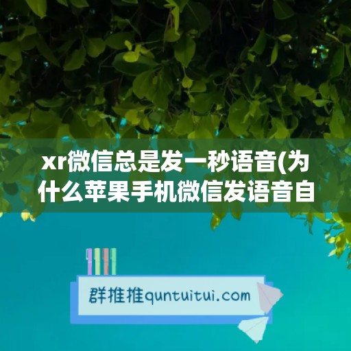 xr微信总是发一秒语音(为什么苹果手机微信发语音自动发一秒过去)