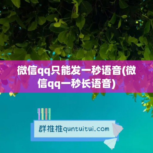 微信qq只能发一秒语音(微信qq一秒长语音)