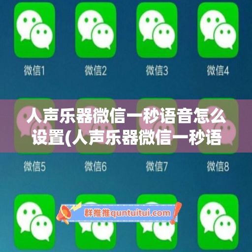 人声乐器微信一秒语音怎么设置(人声乐器微信一秒语音怎么设置的)