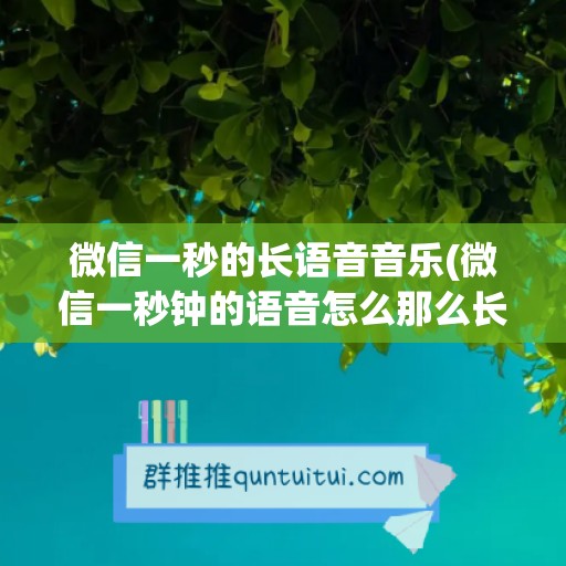 微信一秒的长语音音乐(微信一秒钟的语音怎么那么长)