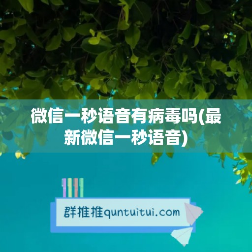 微信一秒语音有病毒吗(最新微信一秒语音)