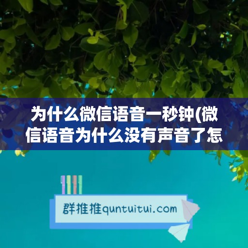 为什么微信语音一秒钟(微信语音为什么没有声音了怎么办)