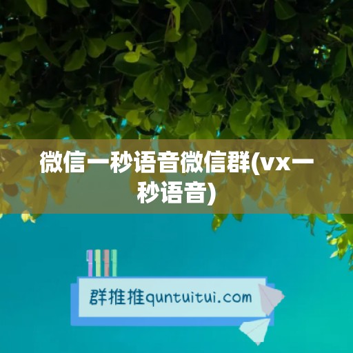 微信一秒语音微信群(vx一秒语音)