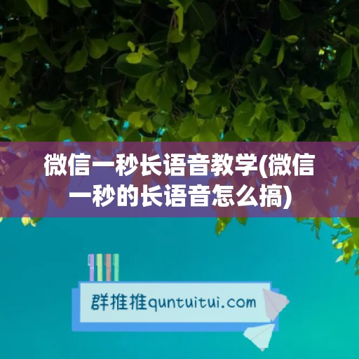 微信一秒长语音教学(微信一秒的长语音怎么搞)