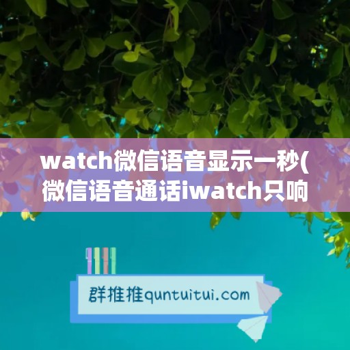 watch微信语音显示一秒(微信语音通话iwatch只响一声)