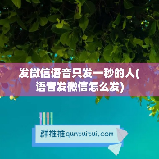 发微信语音只发一秒的人(语音发微信怎么发)