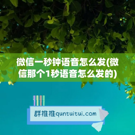 微信一秒钟语音怎么发(微信那个1秒语音怎么发的)