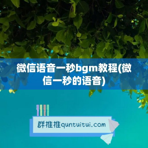 微信语音一秒bgm教程(微信一秒的语音)