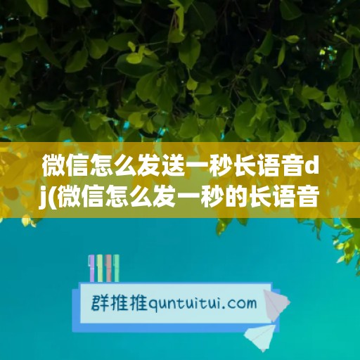 微信怎么发送一秒长语音dj(微信怎么发一秒的长语音)