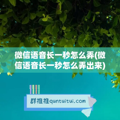 微信语音长一秒怎么弄(微信语音长一秒怎么弄出来)