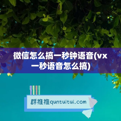 微信怎么搞一秒钟语音(vx一秒语音怎么搞)