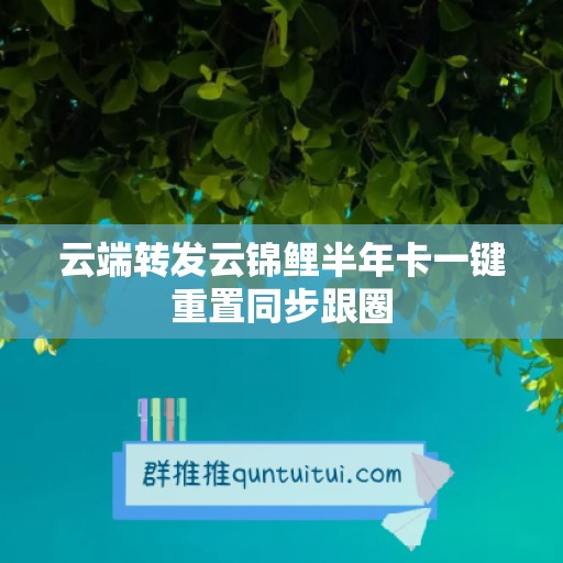 云端转发云锦鲤半年卡一键重置同步跟圈