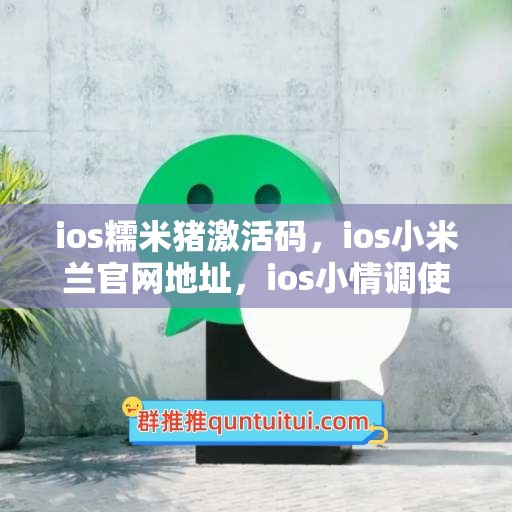 ios糯米猪激活码，ios小米兰官网地址，ios小情调使用教程