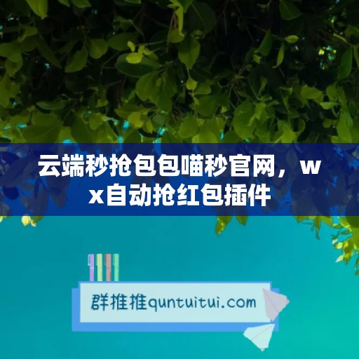 云端秒抢包包喵秒官网，wx自动抢红包插件