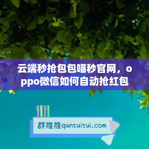 云端秒抢包包喵秒官网，oppo微信如何自动抢红包