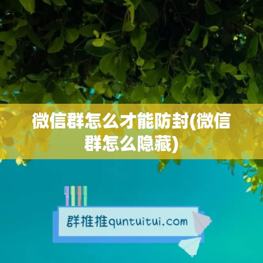 微信群怎么才能防封(微信群怎么隐藏)