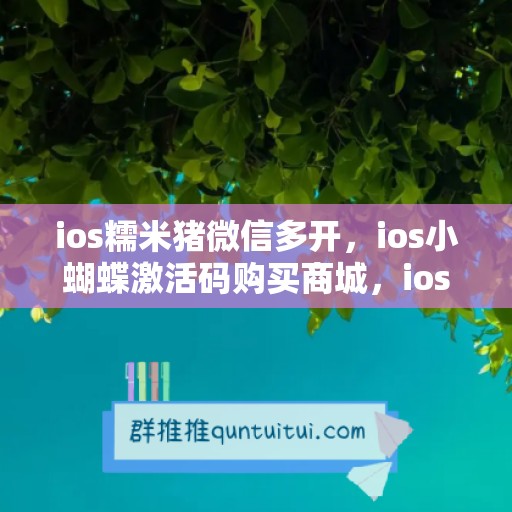 ios糯米猪微信多开，ios小蝴蝶激活码购买商城，ios北极熊如何下载