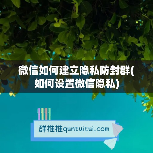 微信如何建立隐私防封群(如何设置微信隐私)