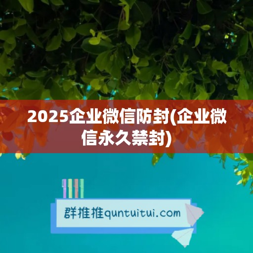 2025企业微信防封(企业微信永久禁封)