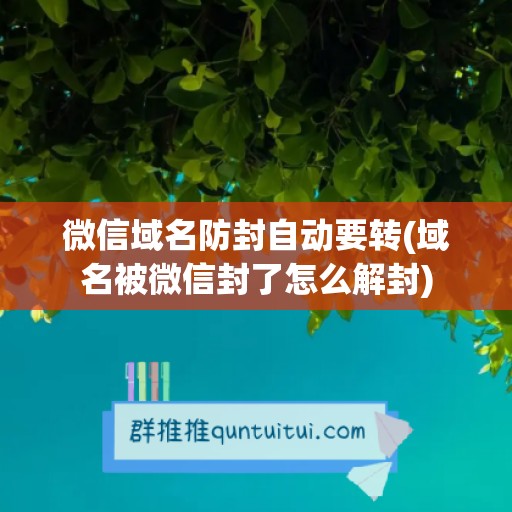 微信域名防封自动要转(域名被微信封了怎么解封)