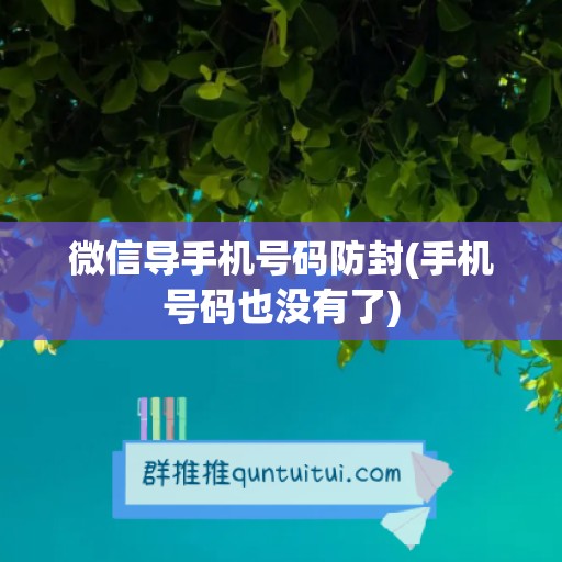 微信导手机号码防封(手机号码也没有了)