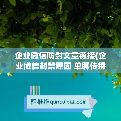 企业微信防封文章链接(企业微信封禁原因 单聊传播广告骚扰内容)