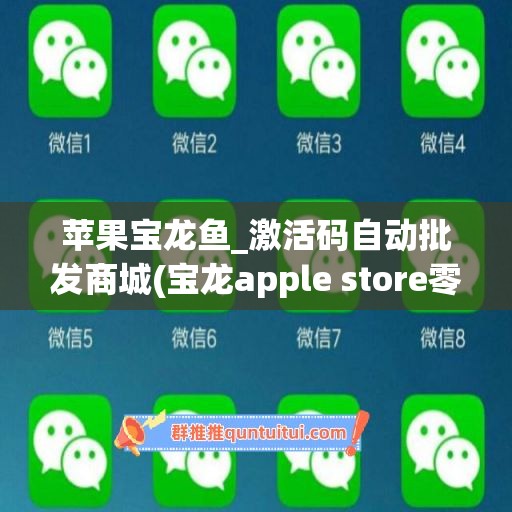 苹果宝龙鱼_激活码自动批发商城(宝龙apple store零售店)