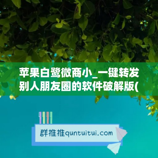 苹果白鹭微商小_一键转发别人朋友圈的软件破解版(一键转发微信朋友圈的软件苹果)