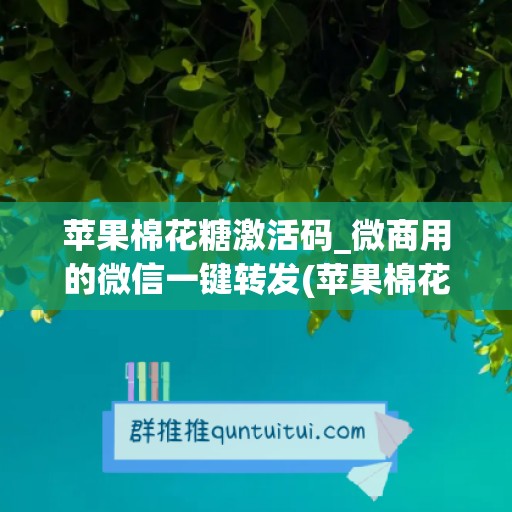 苹果棉花糖激活码_微商用的微信一键转发(苹果棉花糖售价)