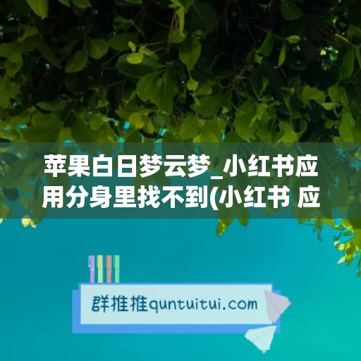 苹果白日梦云梦_小红书应用分身里找不到(小红书 应用分身)