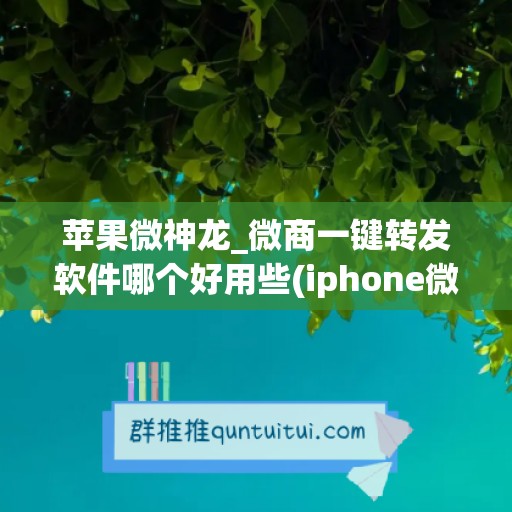 苹果微神龙_微商一键转发软件哪个好用些(iphone微商)