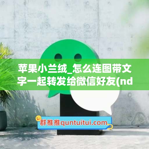 苹果小兰绒_怎么连图带文字一起转发给微信好友(nds口袋妖怪顺序)