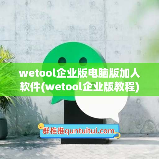 wetool企业版电脑版加人软件(wetool企业版教程)