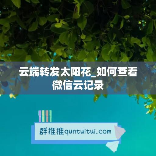 云端转发太阳花_如何查看微信云记录