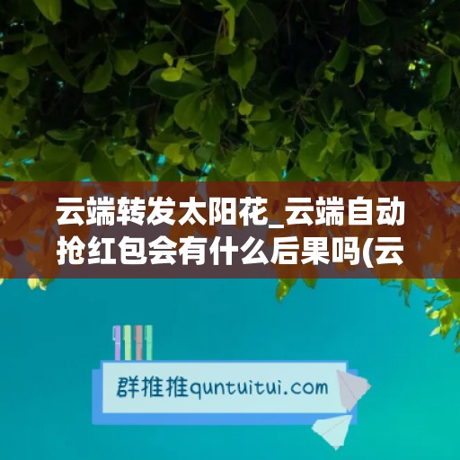 云端转发太阳花_云端自动抢红包会有什么后果吗(云端转发软件安全吗)