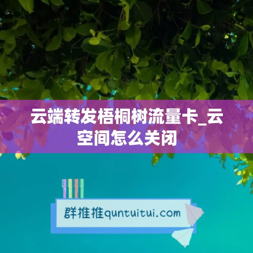 云端转发梧桐树流量卡_云空间怎么关闭