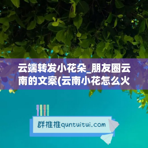 云端转发小花朵_朋友圈云南的文案(云南小花怎么火的)