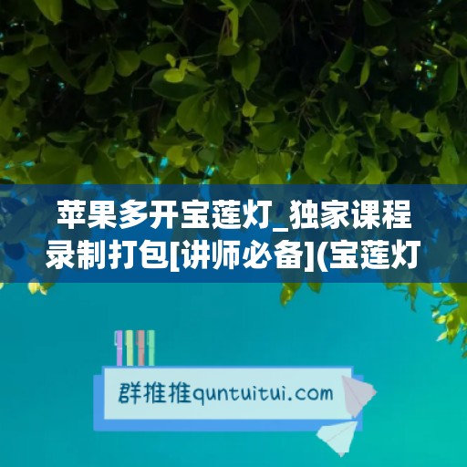 苹果多开宝莲灯_独家课程录制打包[讲师必备](宝莲灯控app苹果版)