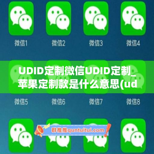 UDID定制微信UDID定制_苹果定制款是什么意思(udid定制版微信原理)