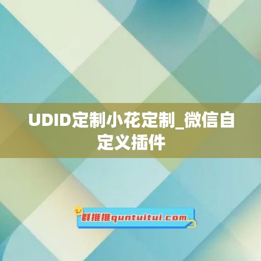 UDID定制小花定制_微信自定义插件