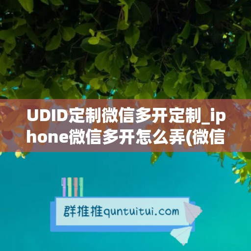 UDID定制微信多开定制_iphone微信多开怎么弄(微信多开版ios)