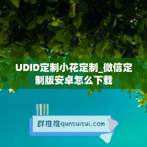 UDID定制小花定制_微信定制版安卓怎么下载