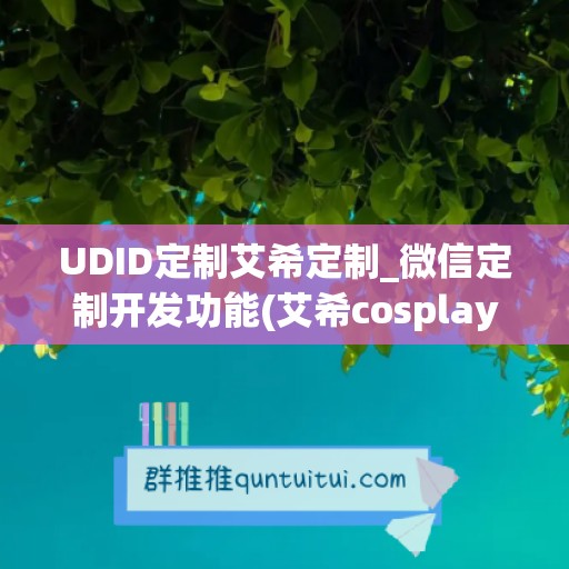 UDID定制艾希定制_微信定制开发功能(艾希cosplay定制)