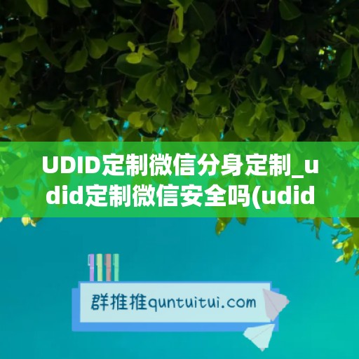 UDID定制微信分身定制_udid定制微信安全吗(udid定制版微信原理)