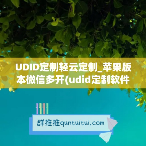 UDID定制轻云定制_苹果版本微信多开(udid定制软件)