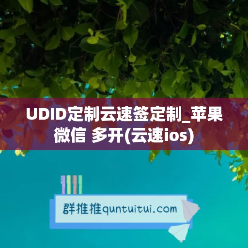 UDID定制云速签定制_苹果微信 多开(云速ios)