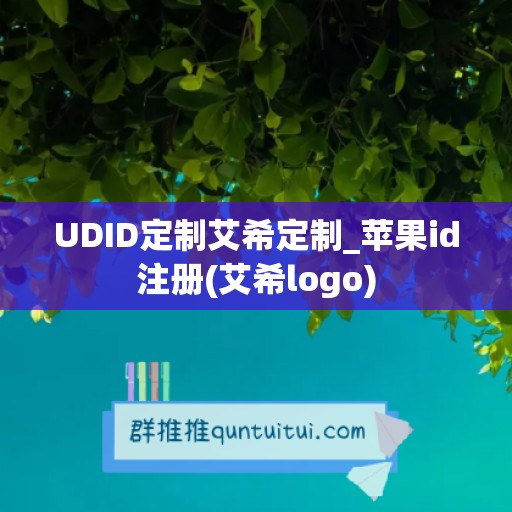 UDID定制艾希定制_苹果id注册(艾希logo)