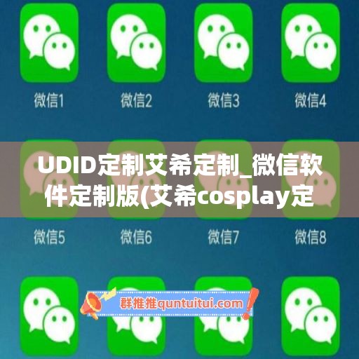 UDID定制艾希定制_微信软件定制版(艾希cosplay定制)