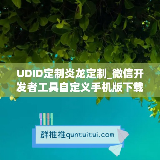 UDID定制炎龙定制_微信开发者工具自定义手机版下载(炎龙logo)