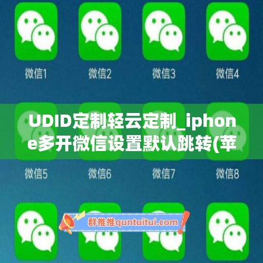 UDID定制轻云定制_iphone多开微信设置默认跳转(苹果微信多开默认跳转)